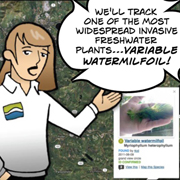 Guide invasive spread