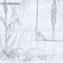small_sketch_trees_101909.jpg